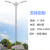 新农村LED市电路灯220V6米8异型杆双臂9M7市政工程定做太阳能10M 定制款式4