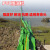 JESERY围油栏轻型固体浮子式水面橡胶拦污带围拦油带 绿色PVC-900 10米