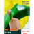 PET打包带透明1608净20kg塑料 色捆扎塑钢手工包装无纸心绿带 绿色 191020公斤 约1000米