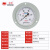红旗仪表氧气专用YO-100ZT轴向带边氧气压力表禁油压力表测氧专用 0-4MPA