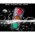 红绿灯交通信号灯警示灯机动车信号灯LED人行箭头信号灯 经典系列300两联动态+PC材质
