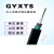 GYXTS-8b1.3单模光纤一圈钢丝铠装4/6/12芯室外林区鸟啄防鼠光缆 GYXTS-8芯