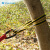 SHANDUAO 户外扁带环 攀岩登山装备 承重扁带绳 耐磨保护带SD289 黄色双边60cm