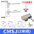 磁性开关接近二三线DMSG CMSG CMSJ CMSH气缸传感应器E防水 CMSJ-020 【2米线】