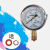 定制上海宜川上岭压力表双刻度0-0.25MPa ,0-138℃三申器配件 0-0.4MPA