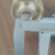 定制适用华联可用铜涡轮齿轮埋弧焊减速箱配件36齿铜涡轮涡杆送丝 送丝轮（外径43mm)