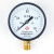 侧至柒杭州宏盛Y60Y100 1.6MPA高温蒸汽表空压机气表储蓄罐水压气压通用 y100   0.16MPA