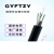 GYFTZY-24B1.3室外管道光纤4/8/12/16/48/96/144芯非金属阻燃光缆 GYFTZY-6芯