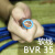 上上电线电缆国标BVBVR10 16 25 50 70 95平方铜芯家装单芯 硬BV 10 (卷)