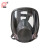 普达 全面罩防毒面具装修油漆喷漆作业化学工厂呼吸防护面罩防尘面罩4006*1个