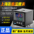 上海亚泰NE-6411-2仪表温控器NE6000-2温控仪NE-5411数 NE6411V2D(N) K 400度