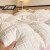 安睡宝（SOMERELLE）雕花牛奶绒床上四件套冬季加厚保暖珊瑚法兰绒被套床单床笠款单人 浪漫花都-白 1.5-1.8m床单四件套/被套200*230