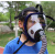 电动风长管呼吸器单人双人多人防护全面罩 自吸式长管呼吸器 面罩