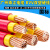 国标珠江电线电缆ZC-BVV95 120 150 185 240平方双塑纯铜阻 国标 95平方 红色 1米