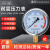 富阳华仪仪表不锈钢耐震压力表yn100油压液压表1.6mpa带油气压表 径向带边40mpa=400公斤 M20*1.5