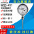 红旗仪表WSS-301/WSSN-411耐震电接点双金属温度计径轴向温度计 WSS-411 0~100℃ L100
