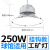 柏光致 LED球馆灯 室内篮球场羽毛球场工矿灯吊灯 250W挂钩款 白光 1个