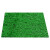安小侠 仿真草坪垫子假草绿色人造草坪塑料假草幼儿园户外假草皮装饰地毯 1.0翠绿加密（10平方）