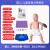 贝傅特 模拟人婴儿 儿童心肺复苏梗塞气道梗塞急救及CPR训练模型 婴儿（数码控制+打印） 
