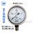 上海精普YTF-100H不锈钢径向压力表水压气压表油压表 01mpa