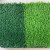 仿真人造草坪地毯户外假草皮人工塑料绿色装饰幼儿园围挡工程垫子 3cm运动草免填充 拍下颜色