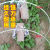 种菜棚架新型农用小拱棚支架遮阳防虫网拱杆菜地骨架暖棚育苗 5毫米1.8米长20根(送手套)
