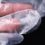 庄太太【薄款透明200只】一次性手套塑料透明薄膜加厚耐用餐饮抽取式ZTT-JD001