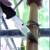 日本进口角利（KaKuri）技工竹锯竹筒锯手工锯木工锯园林锯胶管锯石膏锯竹锯 石膏锯531-134 