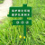 橙安盾 爱护花草标识牌 镀锌板户外草坪牌 草地警示牌 保护绿化环境 爱护花草树木