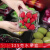 一次性水果盒 超市一次性水果包装盒透明塑料盒水果500M水果店一 1813H6透明-整箱1500个
