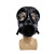 鹰嘴龙 MF22防毒面具面具+过滤罐
