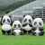 奥兰星仿真熊猫户外大型雕塑美陈售楼部幼儿园公园景区草坪动物装饰摆件 蹲姿熊猫(0.6m)