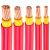 国标珠江电线电缆ZC-BVV95 120 150 185 240平方双塑纯铜阻 国标 95平方 红色 1米