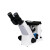 4XC PLUS 三目倒置金相显微镜 分析仪 wu限远光学 放大1000倍 4XC PLUS+相机软件