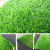 乐子君仿真草坪人造草绿色垫子阳台庭院地毯户外塑料假草皮20mm春2x10米