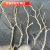 默然诺尔原木杈艺术干枝枯枝枯木树干鸟架造型壁挂衣架吊顶树枝装饰 带皮带杈0.9米 干树枝