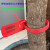 定制加长园林塑料封条一次性围树绑扎带苗木记号标签标识锁扣50CM 酒红色