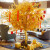 丰庭仿真金榕树摇钱树许愿树大型假树发财树新年红包树商场酒店装饰树 高1.8米x宽1.5米