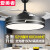 爱美者隐形吊扇灯家用风扇灯北欧简约客厅餐厅卧室电扇带灯一体 52寸黑白款-160W光谱+变频遥控
