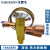 原装EMERSON艾默生热力膨胀阀TRAE-8-10-12-15HCA空调热泵双向R22 TRAE12HCA (接口16*22)