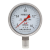 红旗牌仪表Y-100BF/YBF100径向全不锈钢压力表耐高温耐酸碱防腐蚀 0~1MPa