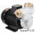 款耐高温油泵 导热油泵 热水泵 模温机泵  DY-15A 黑色 黑色