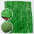 共泰 仿真草坪 翠绿小草25针无胶 草坪地毯垫子绿色工程围挡临时绿化 1m²