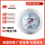 红旗仪表 厂家直销 氧气压力表轴向带边禁油气体25MPA2.5 0~1.0MPA 【10公斤】