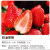 草莓种苗草莓秧苗四季草莓苗带土南北方阳台家种地栽易活盆栽 九香草莓苗5棵
