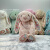 正版英国Jellycat 花布邦尼兔系列毛绒花耳朵兔子安抚礼物31cm 浅桃粉色花耳朵 BL3BLU 31cm