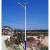 路灯锂电池 5米6米大功率乡村户外双头LED高杆灯 6米50W锥形杆