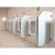 天颛公共卫生间隔断板pvc水板学校厕所洗手间水挡板倍特公厕隔 小便挡板