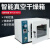 电热恒温真空干燥箱实验室用真空烘箱工业真空烤箱测漏 DZF-3B+泵(双极4L)