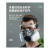 HKFZ防毒防尘工业粉尘面具全面罩喷漆呼吸防护罩防烟全脸 防工业粉尘双罐防尘7件套20